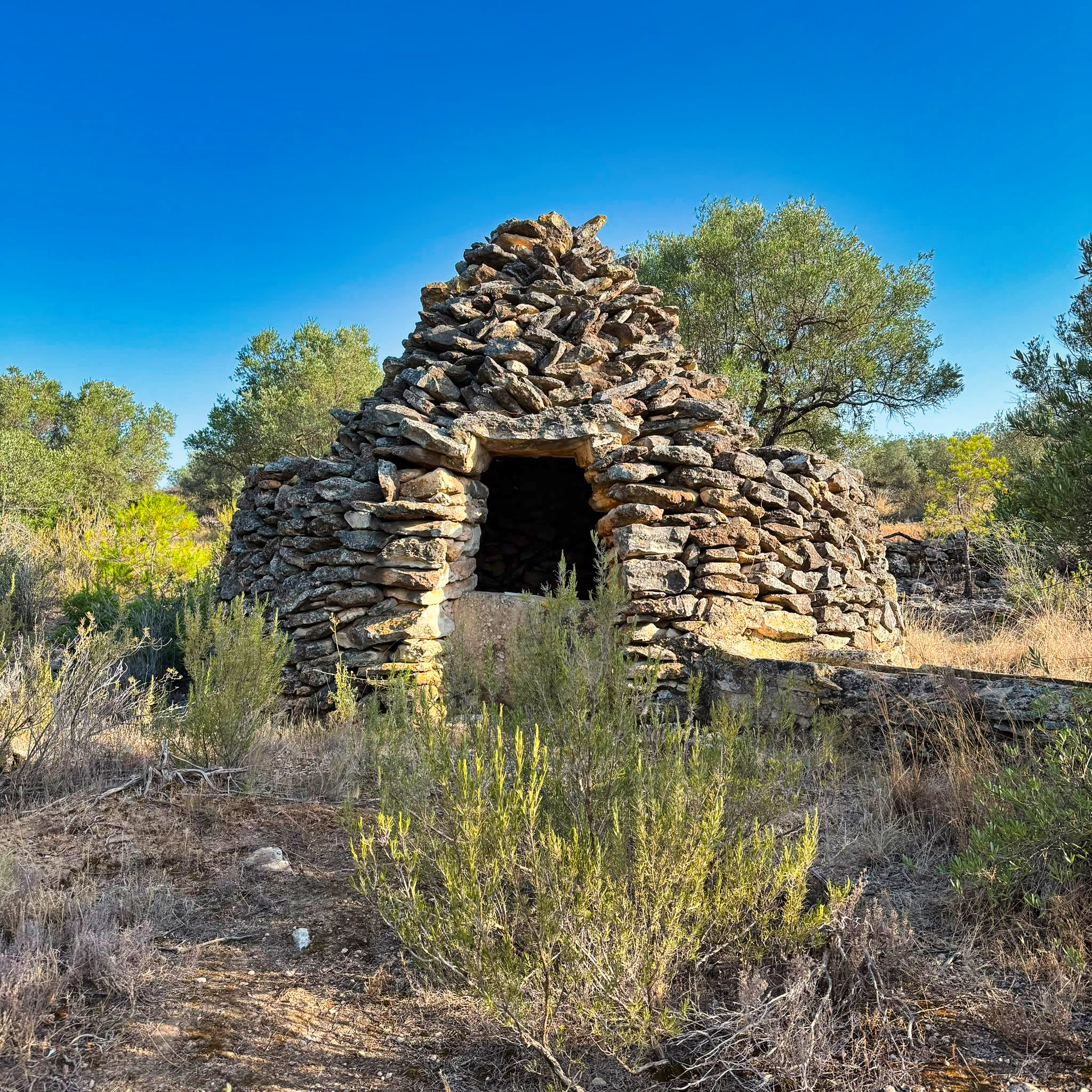 Cocó de la Blanca 